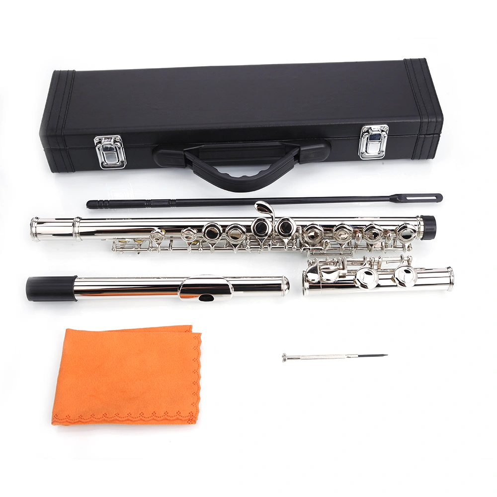 Nickel Plated C Closed Hole Concert Band Flute with E Key