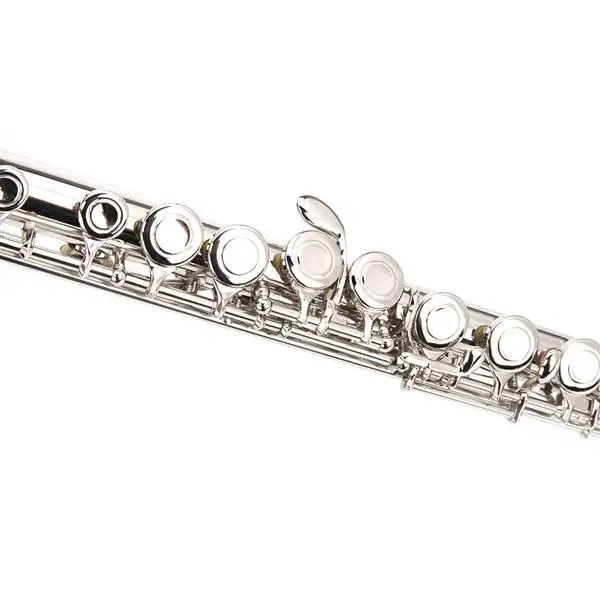 Nickel Plated C Closed Hole Concert Band Flute with E Key view 2