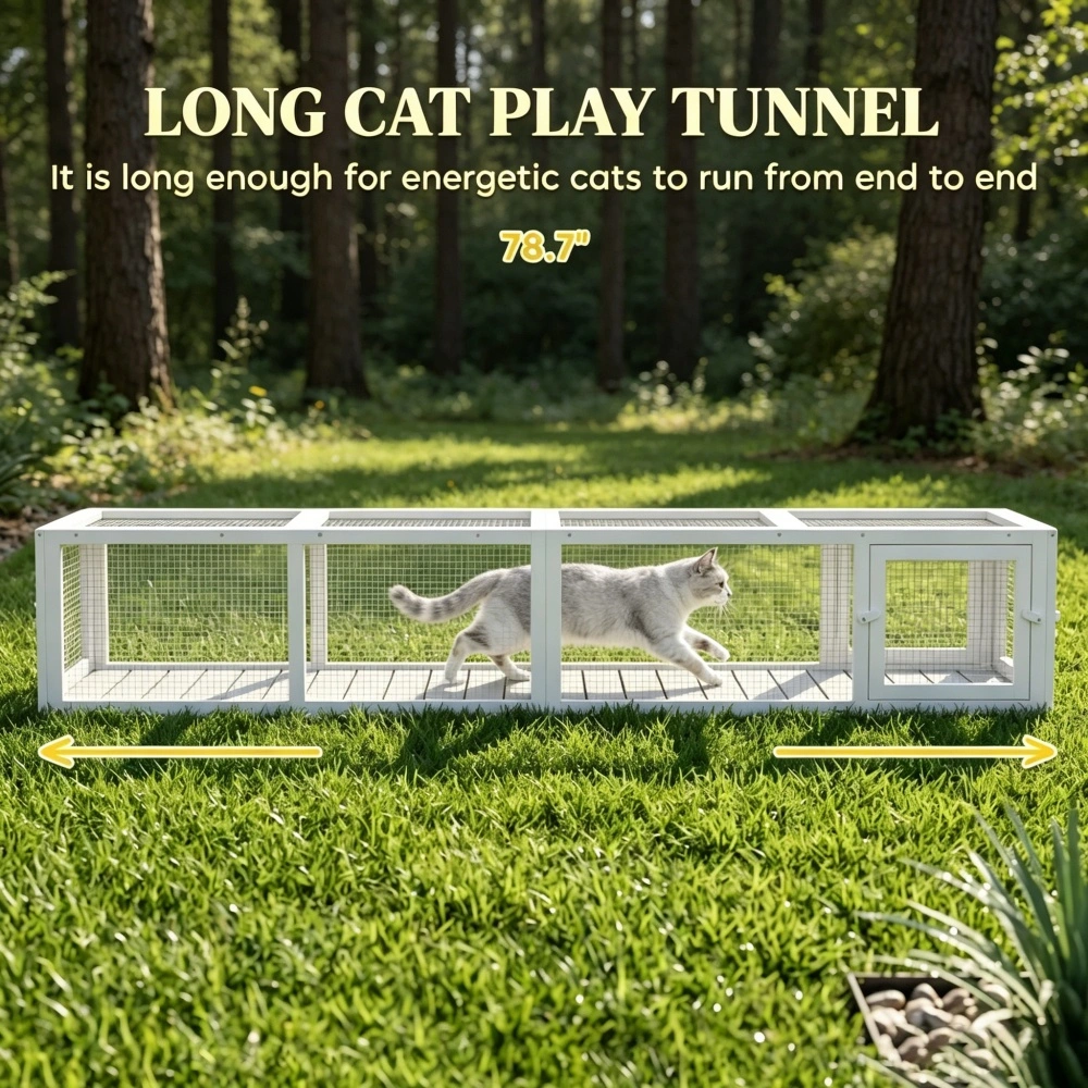 Outdoor Cat Tunnel view 4