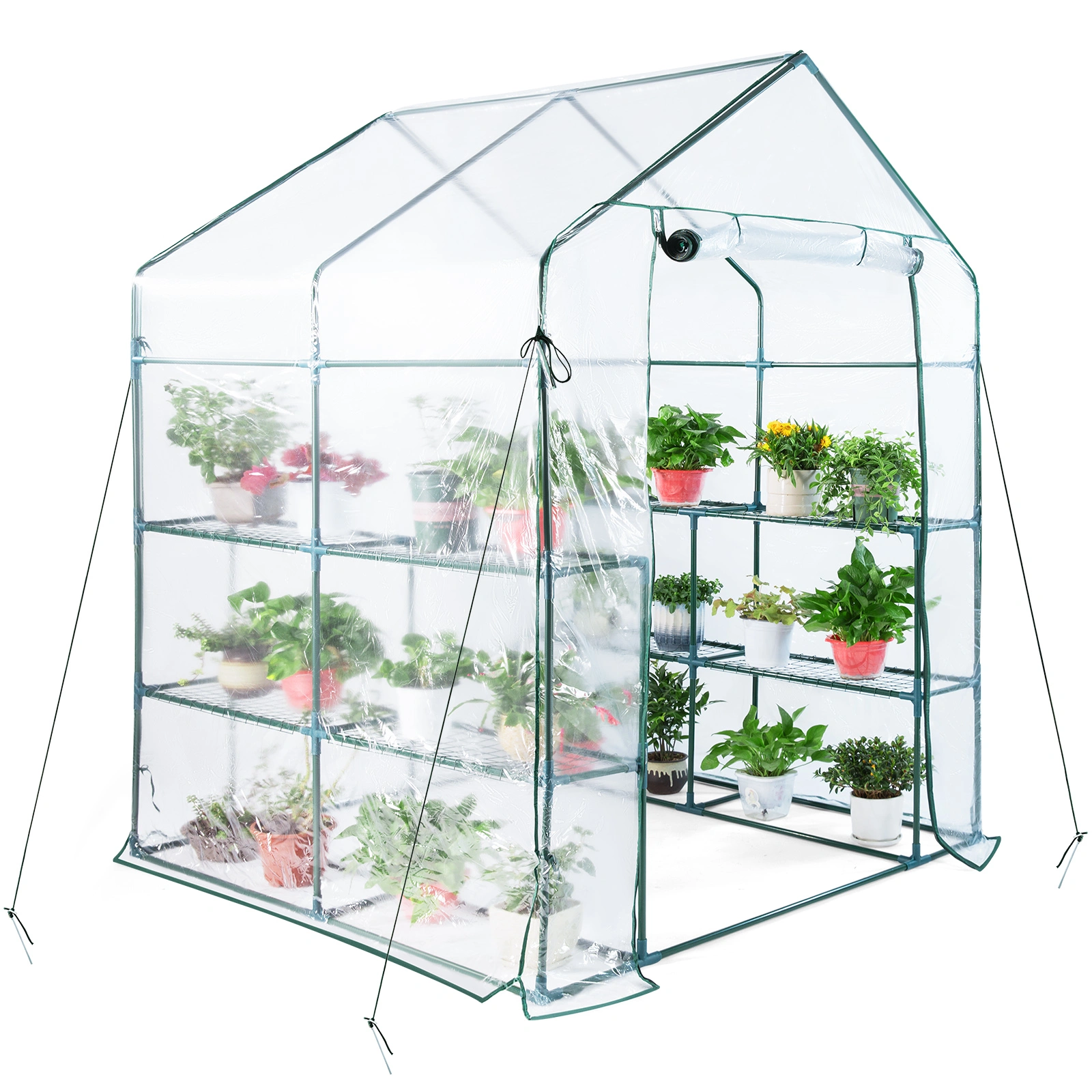 Heavy Duty Walk-in Greenhouse for Garden - 6x8 ft Polycarbonate Plant Growing House