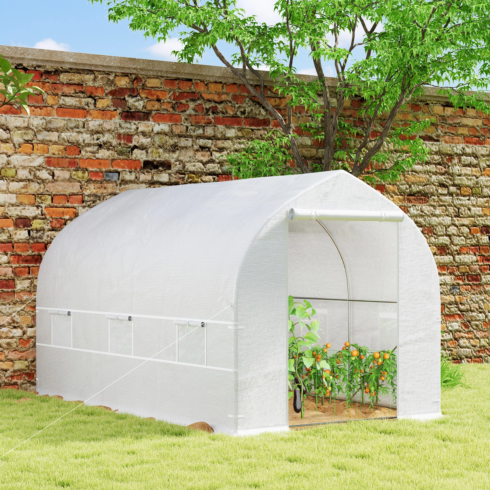 Mini Walk-in Greenhouse 6x8 ft Polycarbonate Plant Tunnel Garden Hoop House Winter Protection