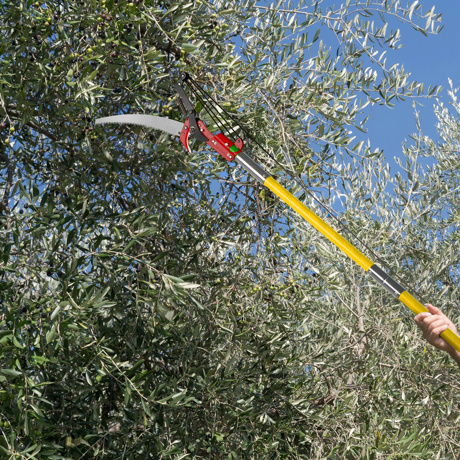 24ft Manual Pole Saw, Lightweight Tree Trimmer with Long Handle, Sharp Steel Blade & Scissors Pruner for Palm, Pear, Fir Trees & Shrubs view 4
