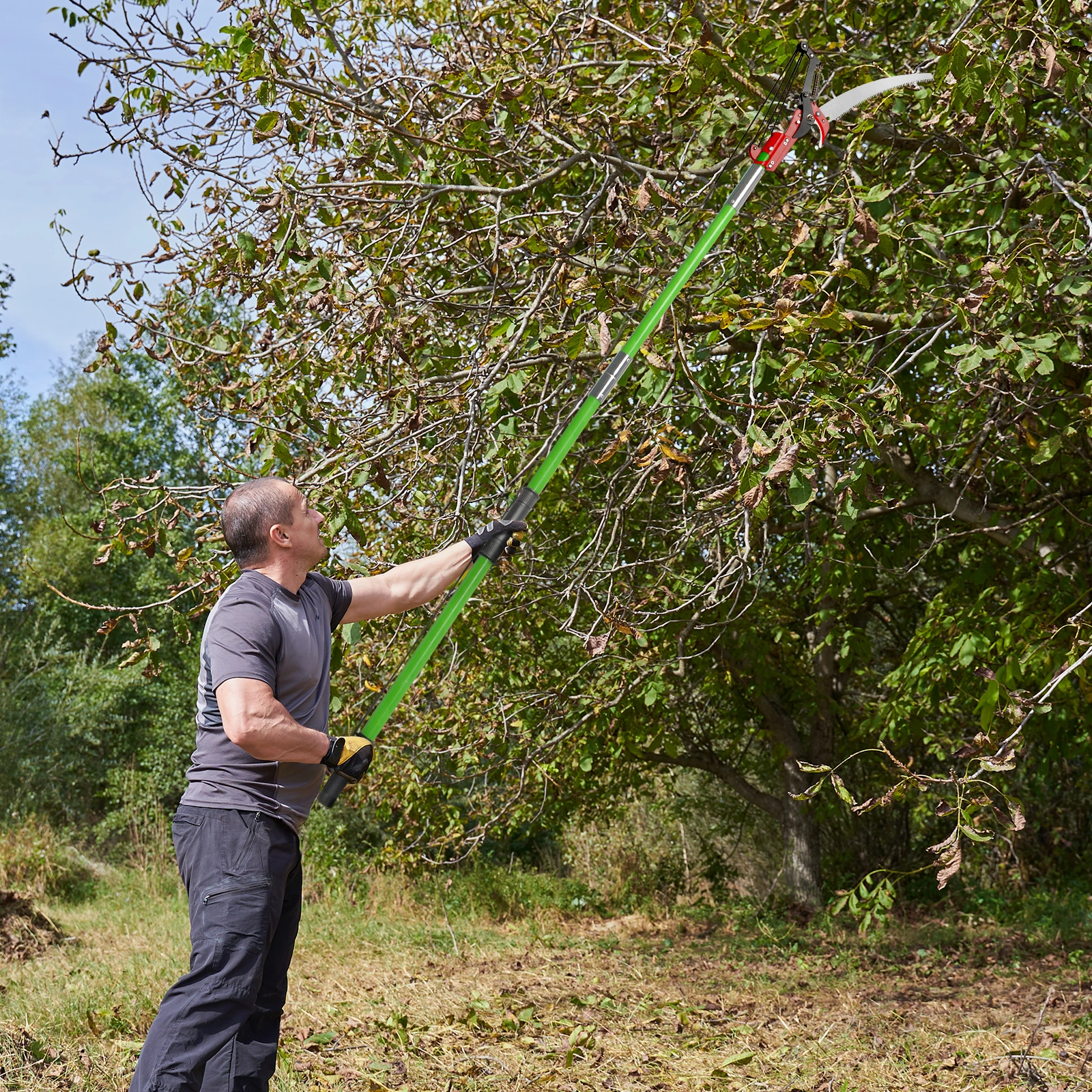 26ft Manual Pole Saw, Lightweight Tree Trimmers Long Handle Pruner Set, Sharp Steel Blade and Scissors Pole Saw for Trimming Palm, Pear Tree, Fir Tree, Other High Trees and Shrubs view 3