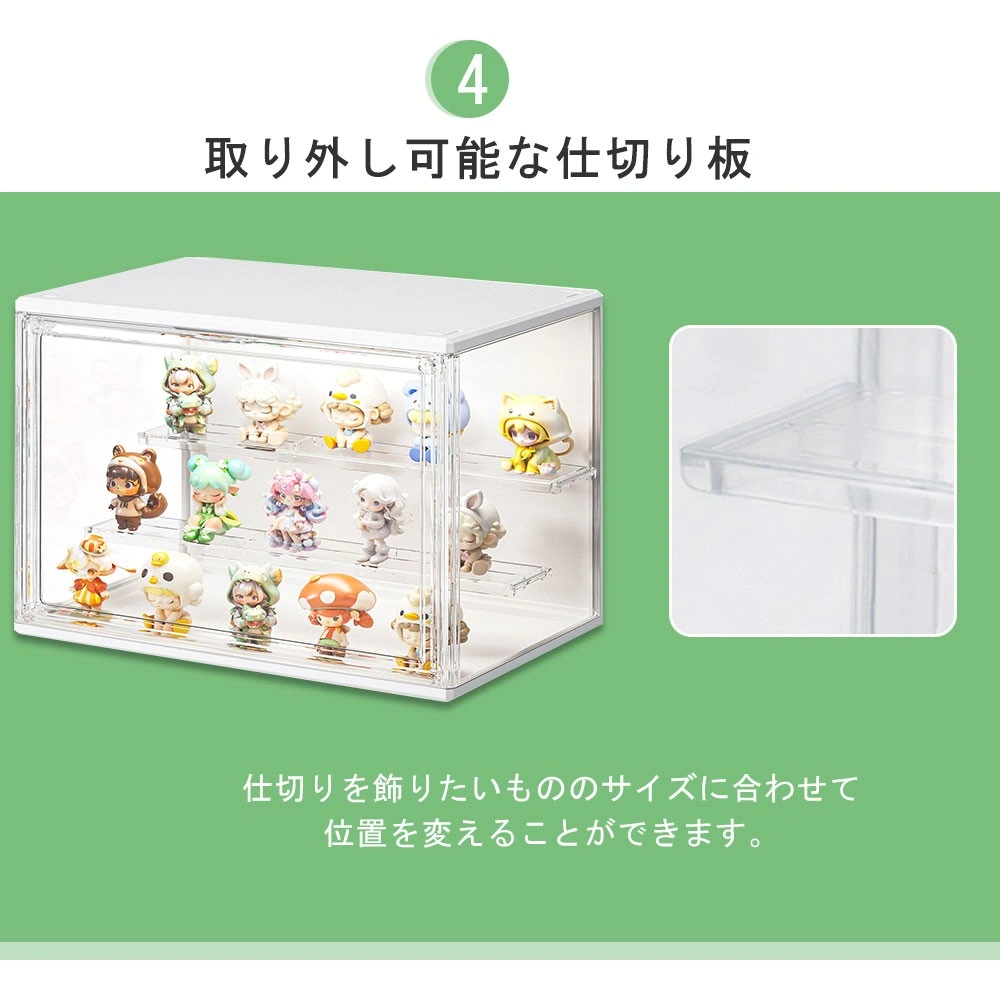 コレクションケース L view 6