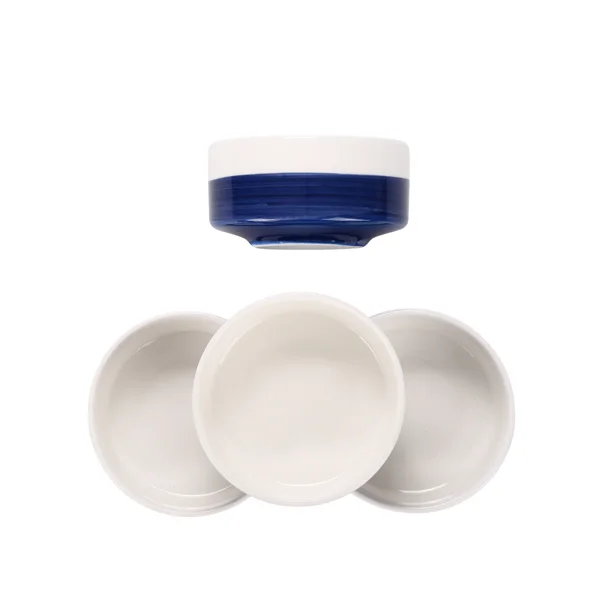 10 OZ WhiteBule Ceramic Bowls Set of 4 - Cereal Bowl,Soup Bowls for Kitchen, Ramen Bowl, Microwave Safe for Oatmeal, Fruit,Salad and Rice Bowl - Dishwasher & Microwave Safe view 5