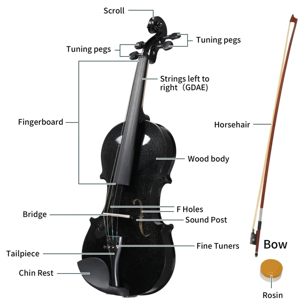【Do Not Sell on AmazonFull Size 4/4 Violin Set for Adults Beginners Students with Hard Case,Violin Bow,Shoulder Rest,Rosin,Extra Strings and Sordine view 5