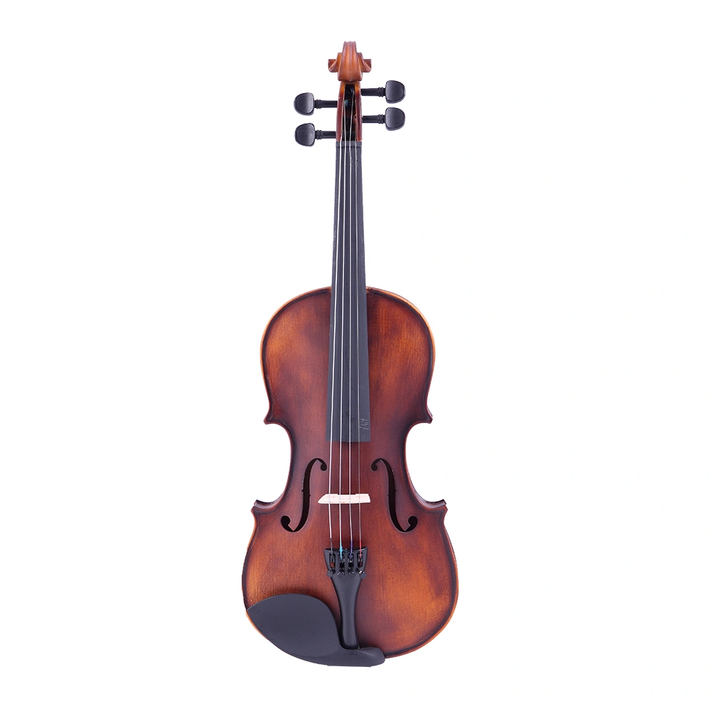 GV200 4/4 Classic Solid Wood Violin Case Bundle with Bow, Strings, Rosin, Shoulder Rest & Electronic Tuner view 3