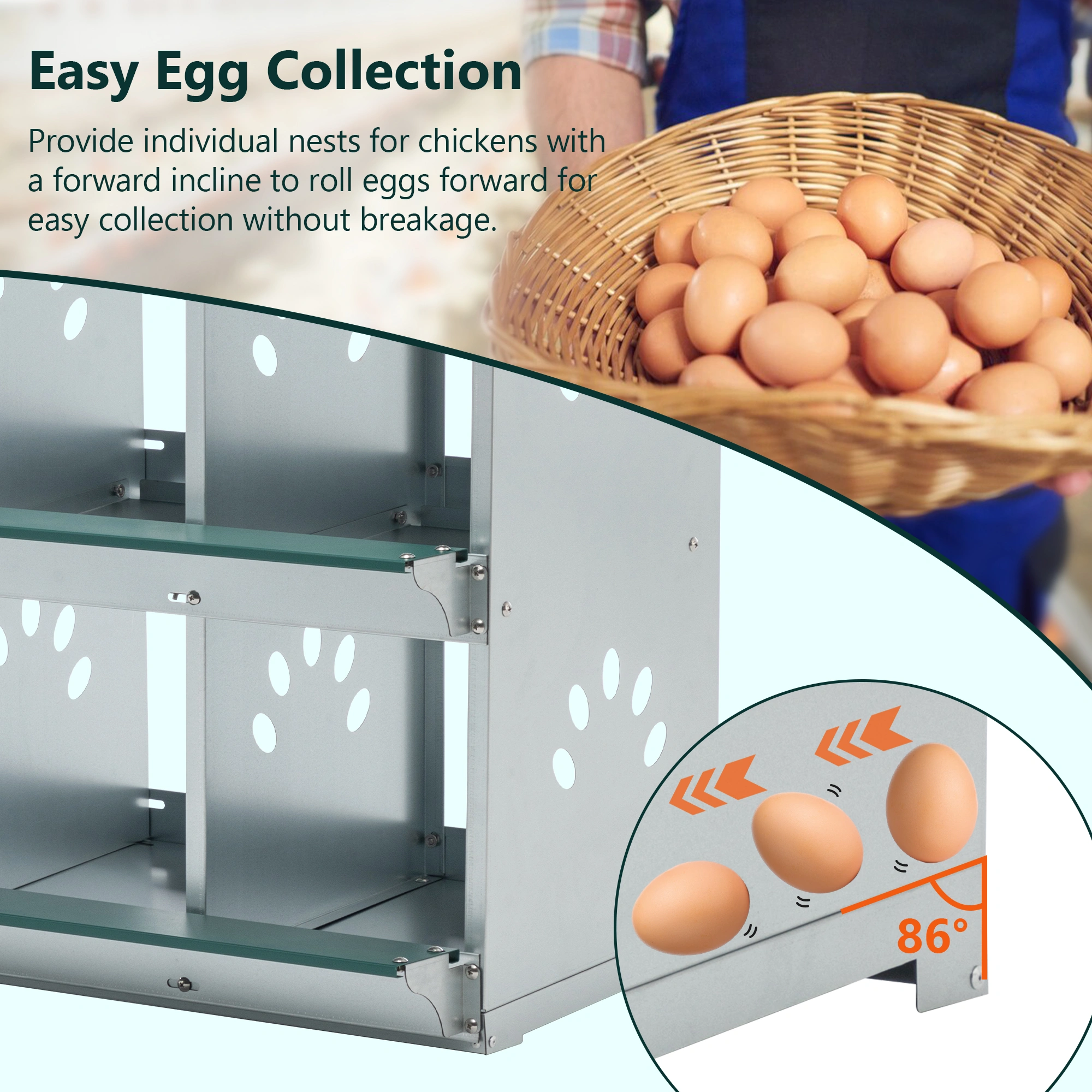 8-Compartment Wall-Mount Chicken Nesting Box, Metal Hen Nest Box with Large Vented Opening for Egg Laying view 5