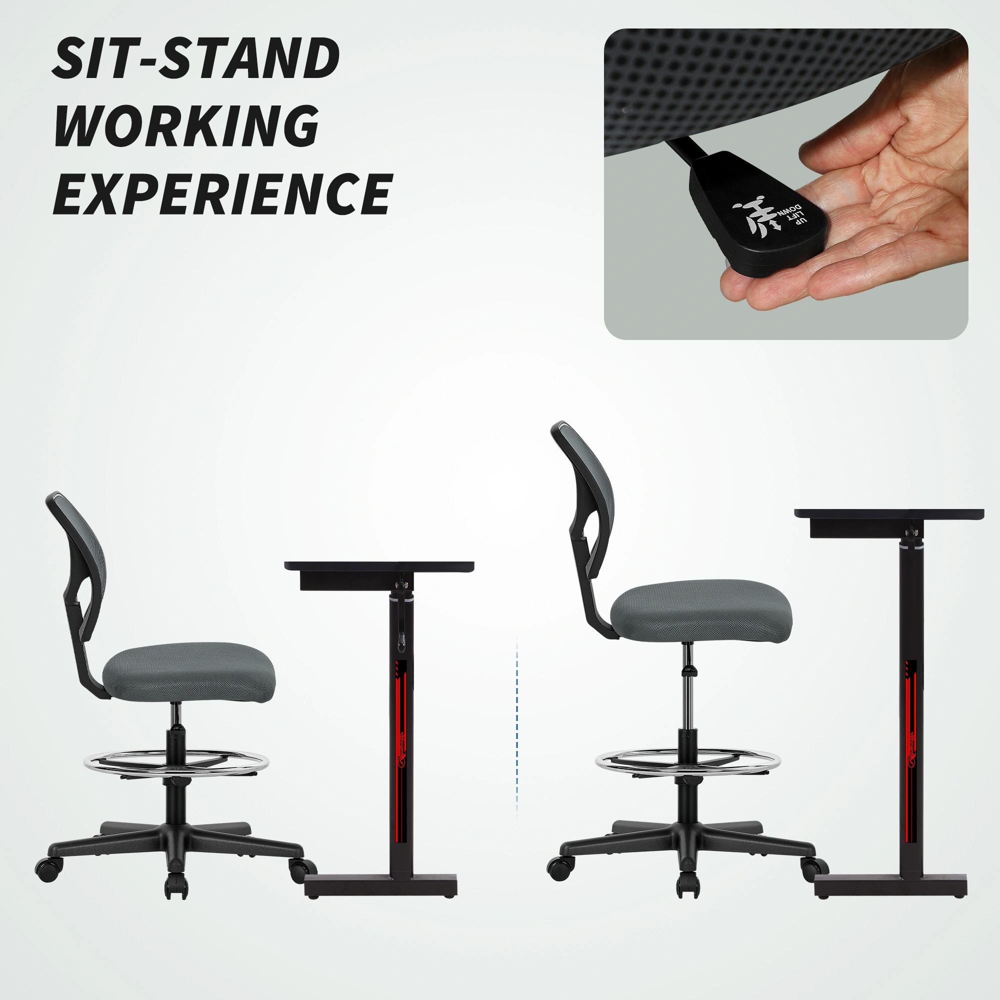 Power Riser Recliner Chair, Electric Lift Chair with Remote, Padded Armrests, Large Seat for Elderly Living Room view 5