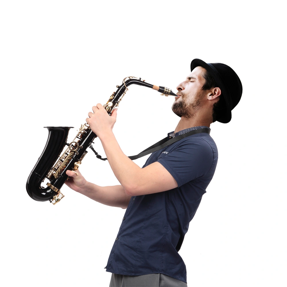 Alto Saxophone Eb E-Flat in Black - 11 Reeds, Hard Case & Care Kit Bundle for Students Beginners view 13