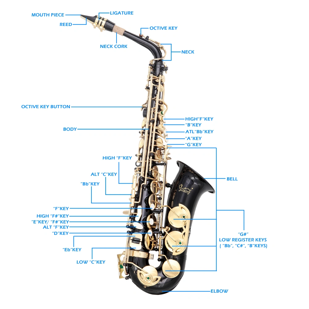Alto Saxophone Eb E-Flat in Black - 11 Reeds, Hard Case & Care Kit Bundle for Students Beginners view 6