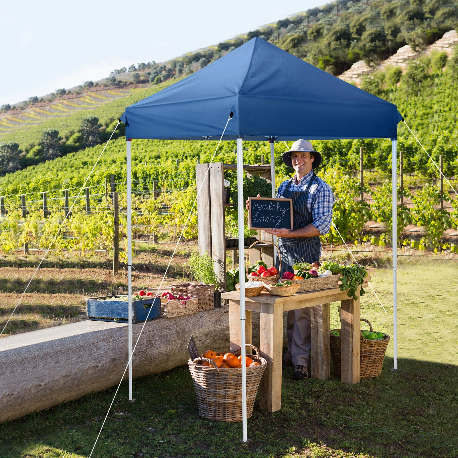 5'x5' Pop Up Canopy view 16