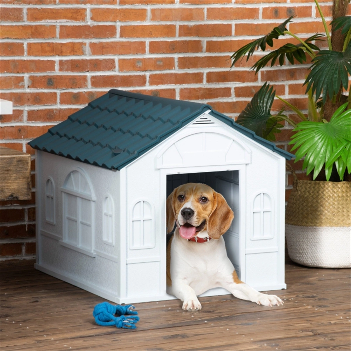 Blue All-Weather Plastic Dog House Easy Assembly Puppy Shelter for Medium Small Dogs Indoor Outdoor