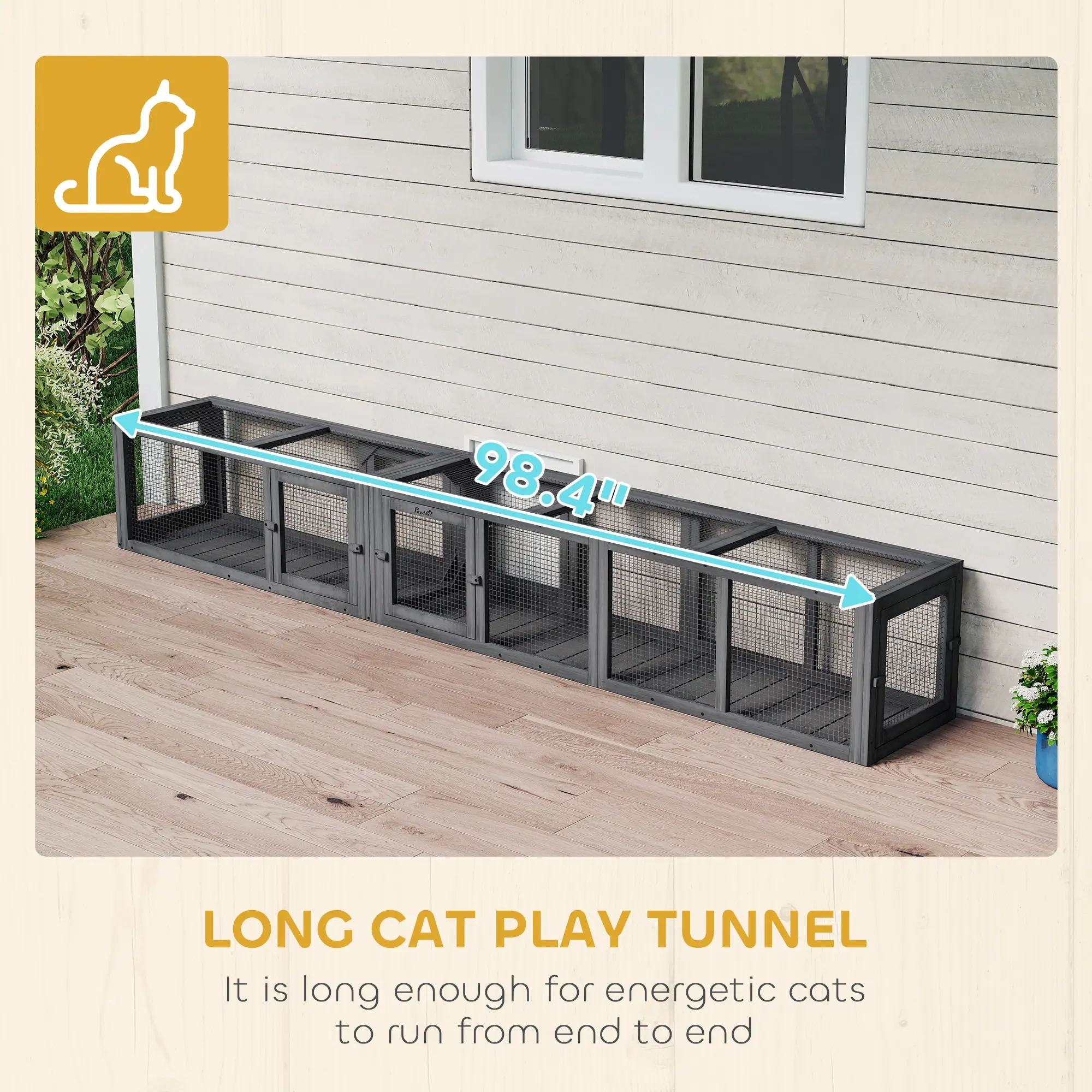 Cat Tunnel view 7