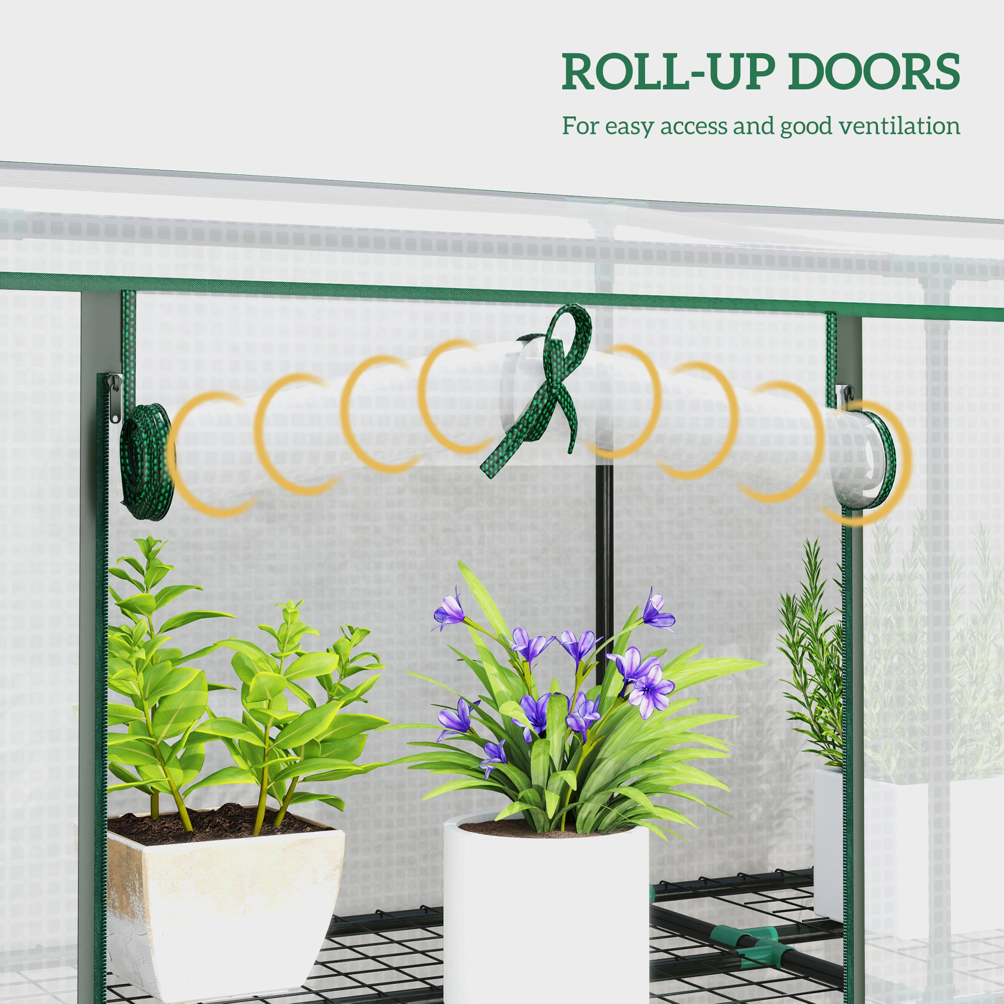 Mini Greenhouse view 2