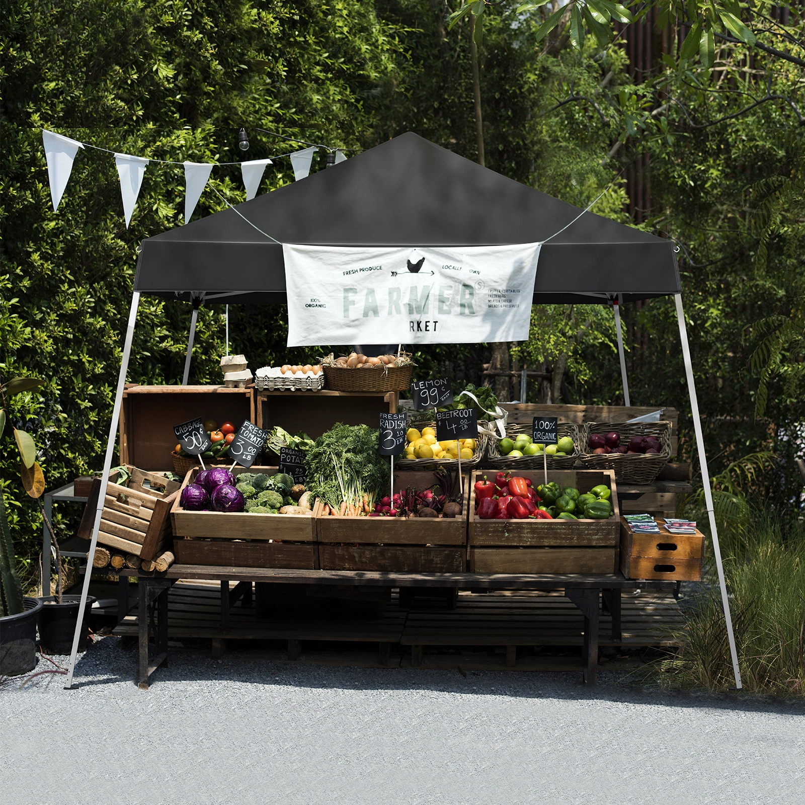 8X8ft outdoor canopy view 10