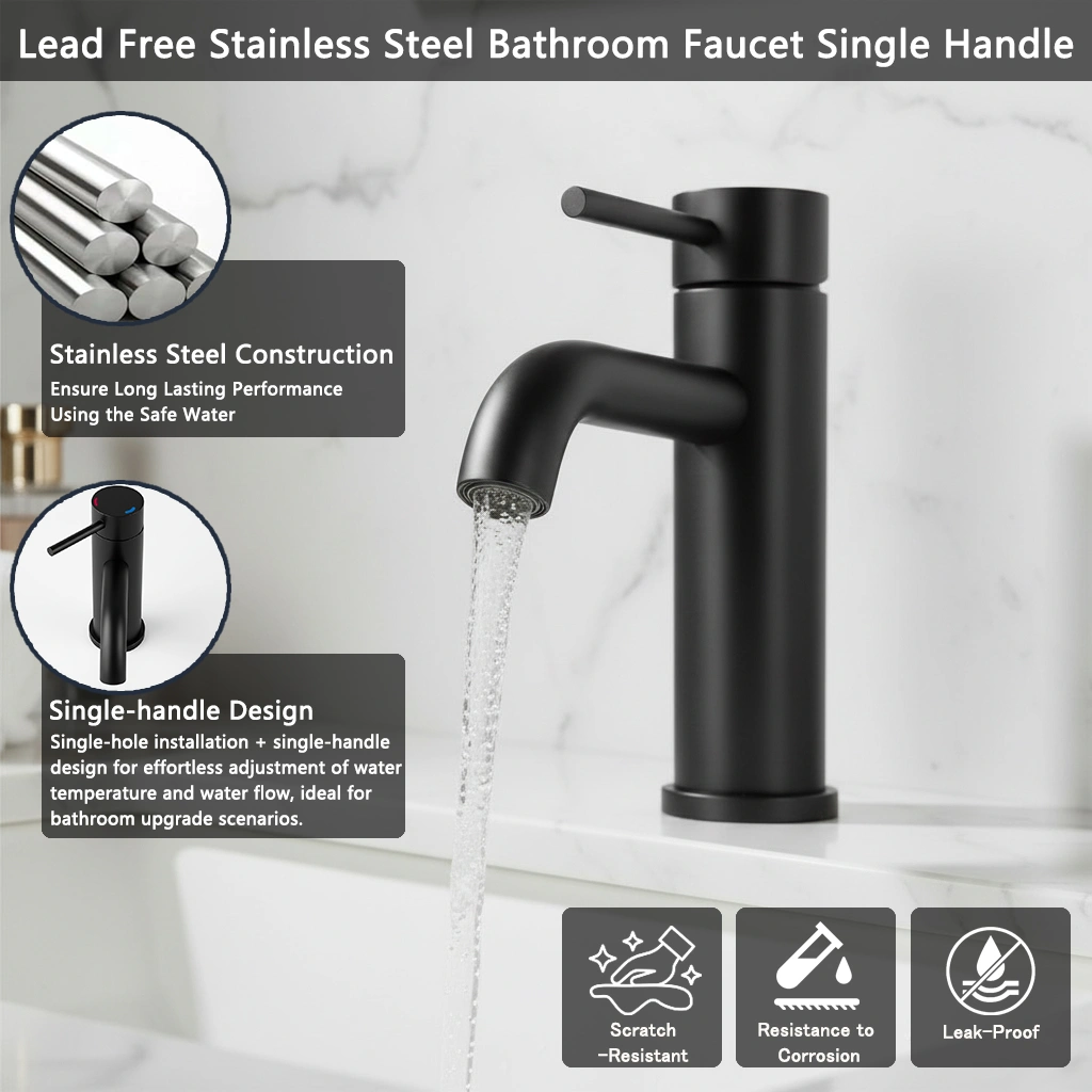 Single Handle Bathroom Faucet Lavatory Faucet Stainless Steel Single Hole-T10, Matte Black view 3