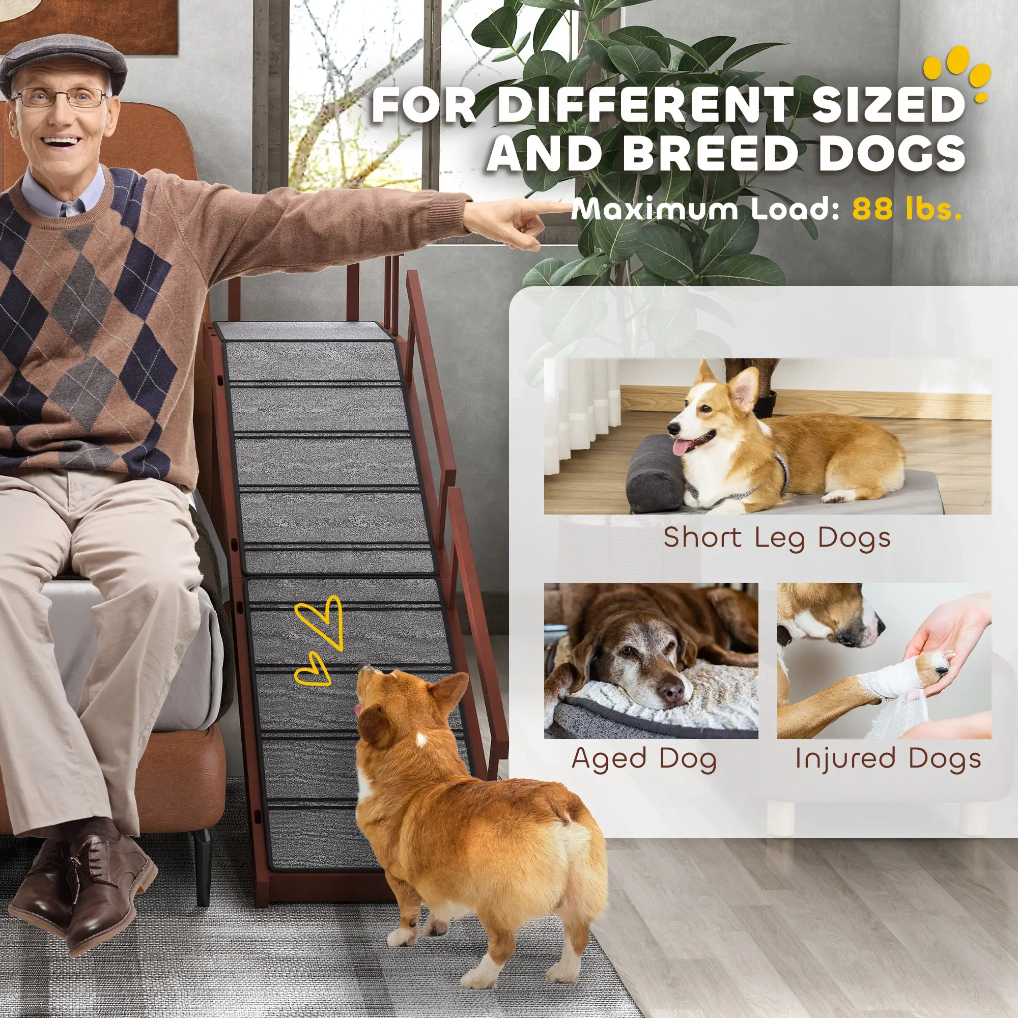 Dog Ramp view 9