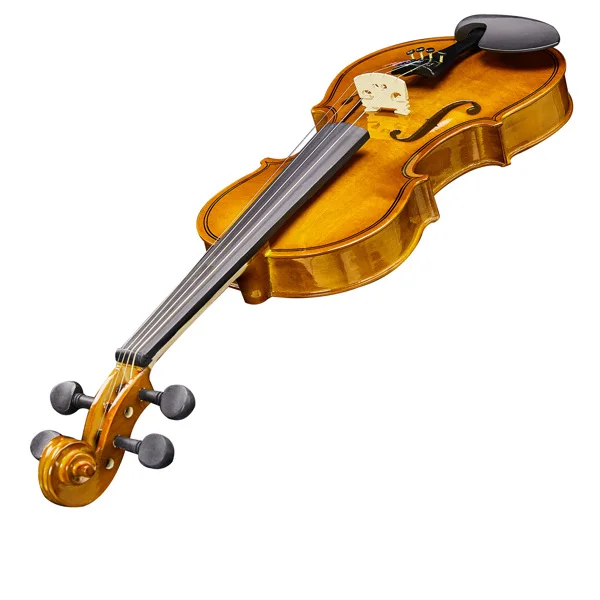 Brand new 1/2 acoustic violin with Hard Case,Violin Bow,Shoulder Rest,Rosin,Extra Strings and Sourdine view 6