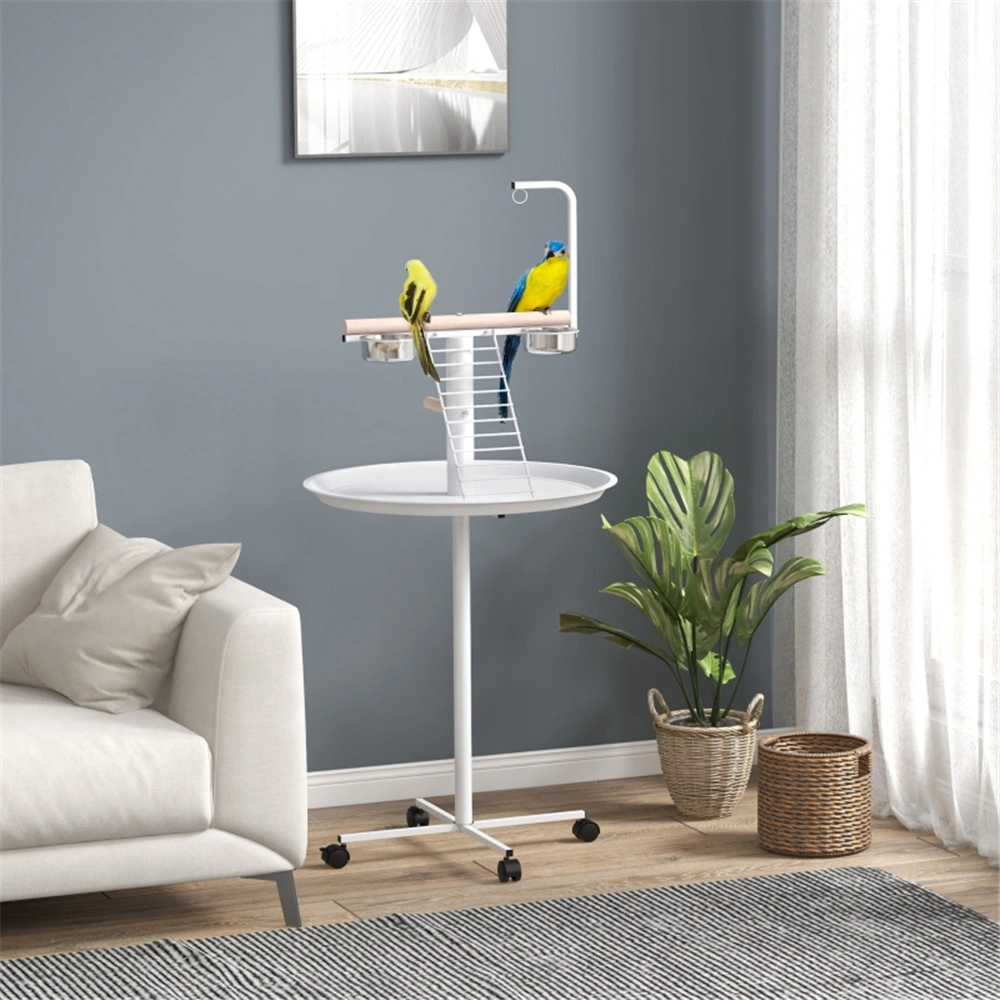 Bird Stand Perch for Parrots Small Birds Home Decor