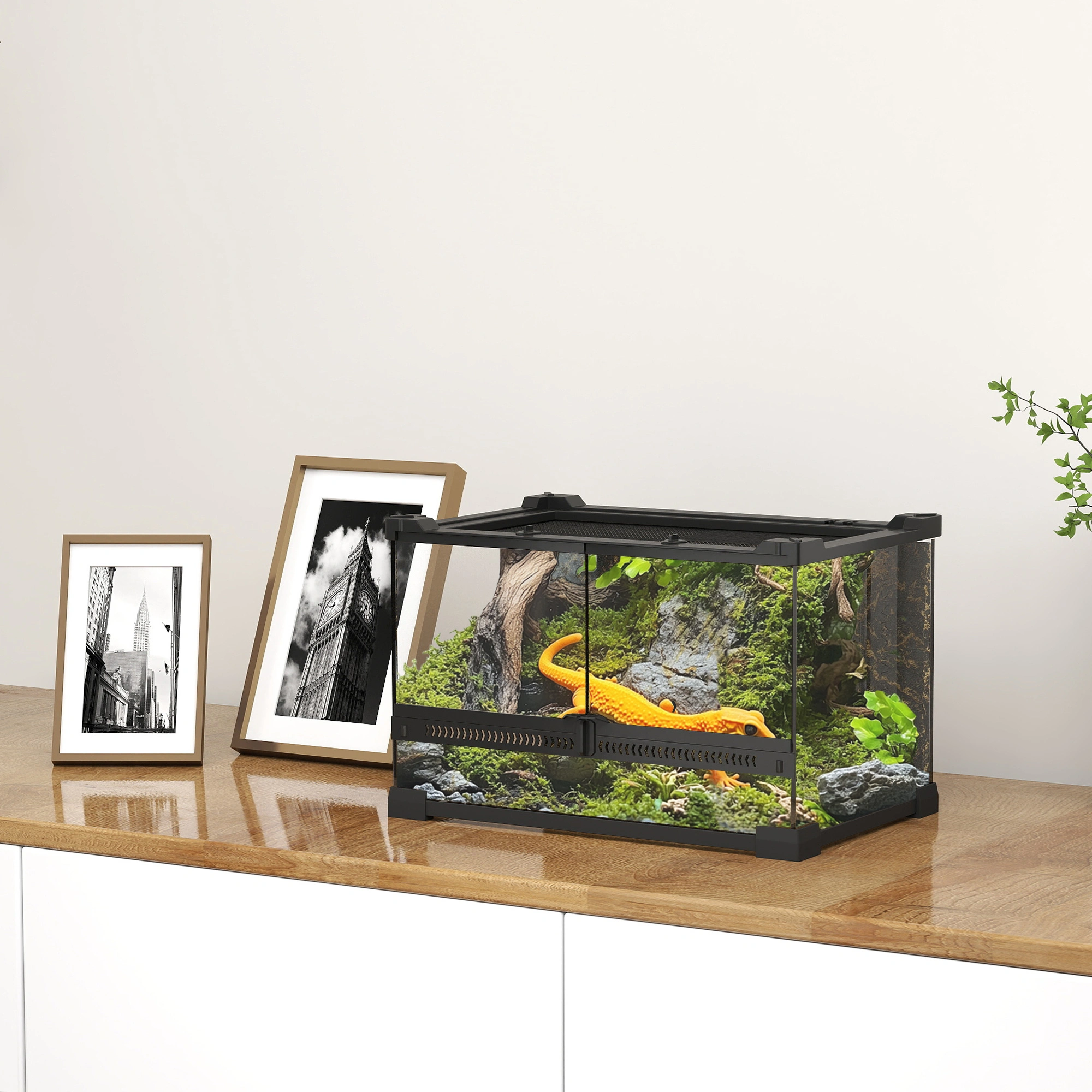Reptile Glass Terrarium - Large Glass Enclosure Habitat Tank for reptiles, snakes, lizards, herpetology
