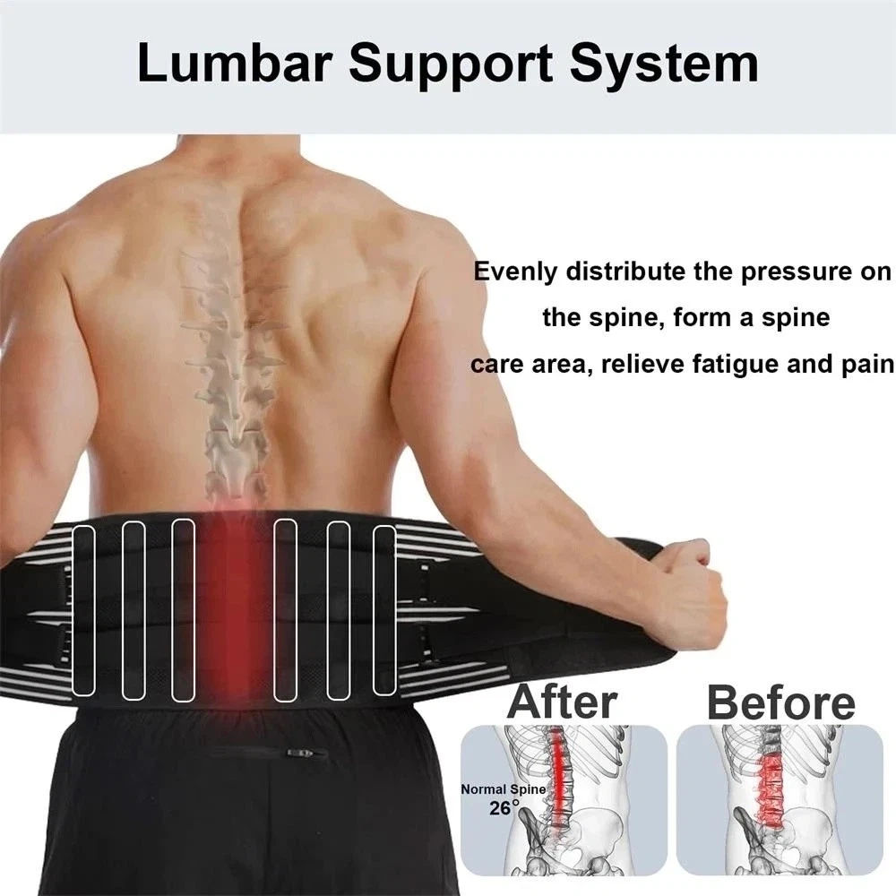 Adjustable Lower Back Brace Lumbar Support Waist Belt for Men Women Pain Relief M Size US Logistics USPS TKE Only Self-Pickup view 3