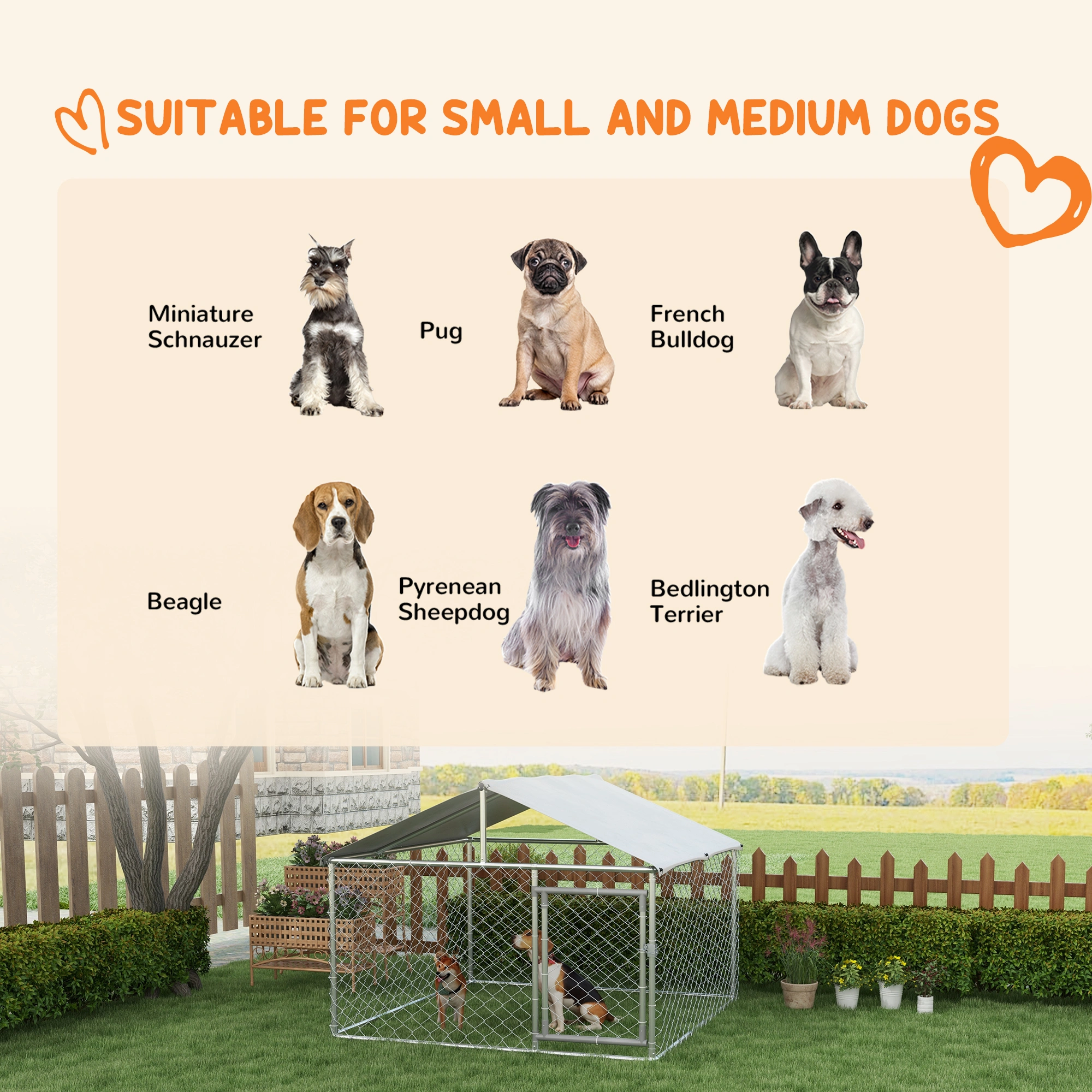 Dog Crate view 3