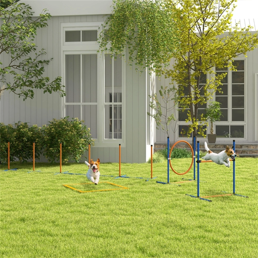 Professional Dog Agility Training Equipment, Outdoor Obstacle Course Set with Cones, Jumps & Tunnel for Dogs view 2