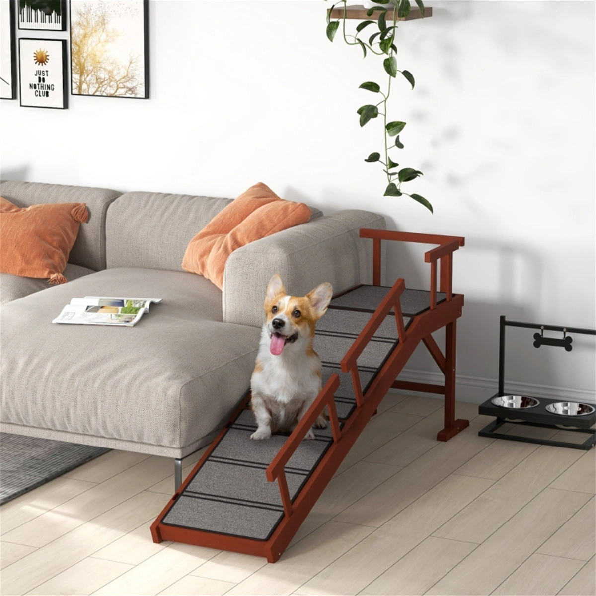 Pet Ramp ( Amazon Shipping)(Prohibited by WalMart) view 4