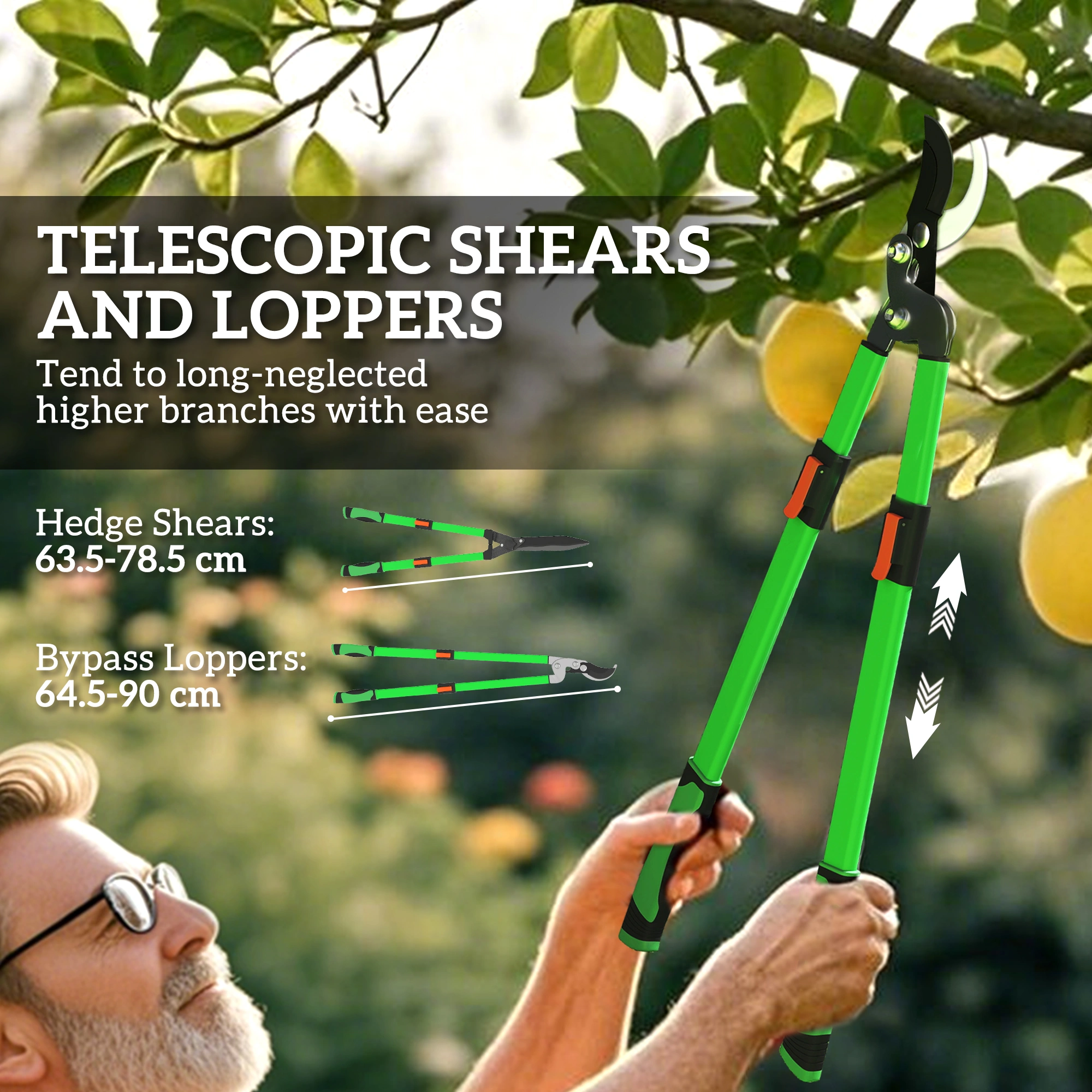 Garden Shears, Professional Bypass Pruning Clippers, Ergonomic Hand Tool for Trimming Bushes Roses, Sharp Steel Blade 8 Inch view 3