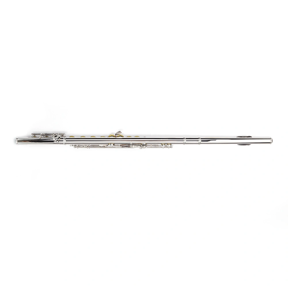 Nickel Plated C Closed Hole Concert Band Flute Silver view 19