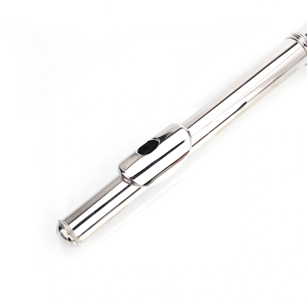 Nickel Plated C Closed Hole Concert Band Flute Silver view 22