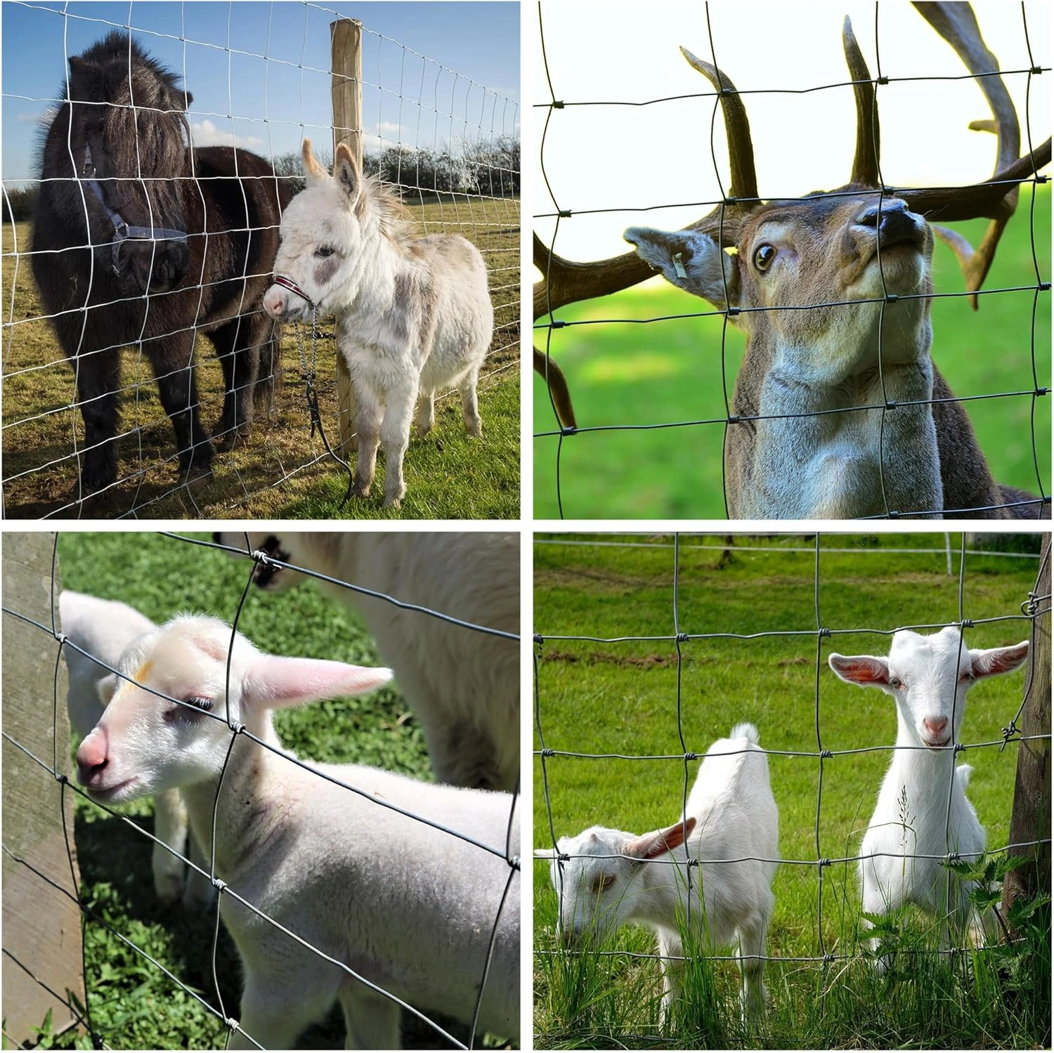 Farm Fence 3ft x 164ft 14Gauge Heavy Zinc Coating Cattle Fence,Galvanized Field Wire Fencing Deer Fence,Goat Fence,Hog Wire Fencing for Yard Livestock & Animals Protection view 6