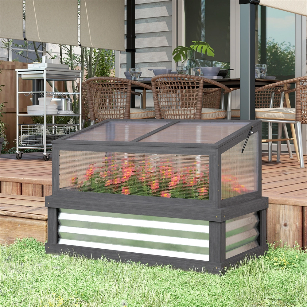 Mini Greenhouse view 2