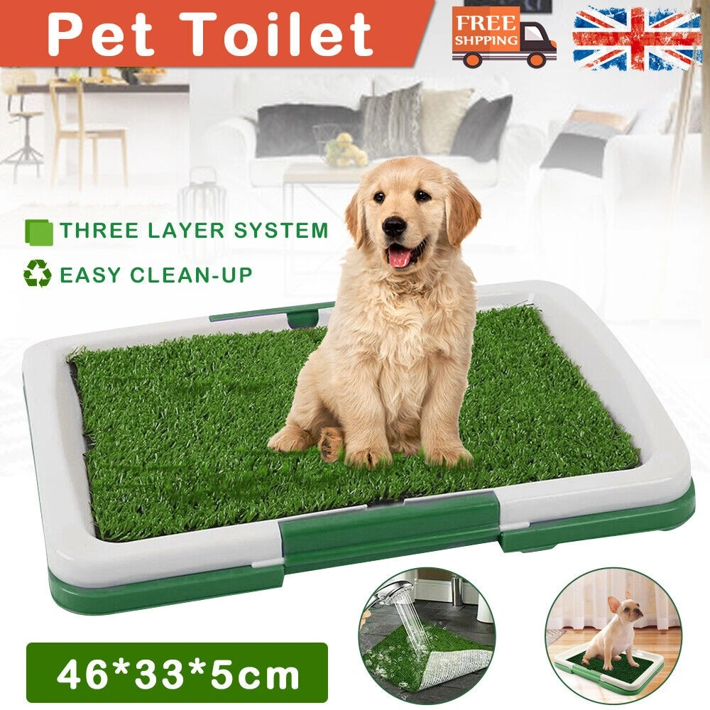 Pet Dog Toilet Mat Indoor Potty Training Grass Pad with Loo Tray - Large Puppy Restroom Mat view 2