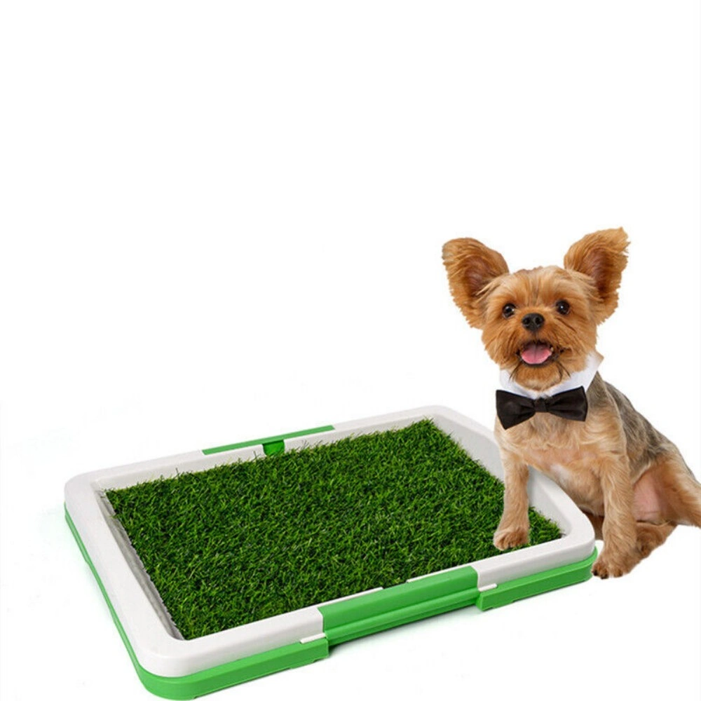 Pet Dog Toilet Mat Indoor Potty Training Grass Pad with Loo Tray - Large Puppy Restroom Mat view 3
