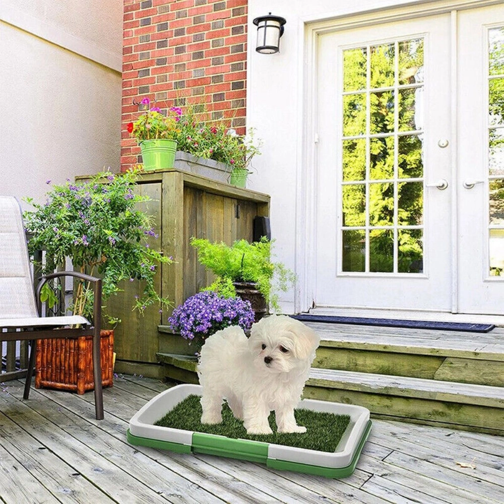 Pet Dog Toilet Mat Indoor Potty Training Grass Pad with Loo Tray - Large Puppy Restroom Mat view 4