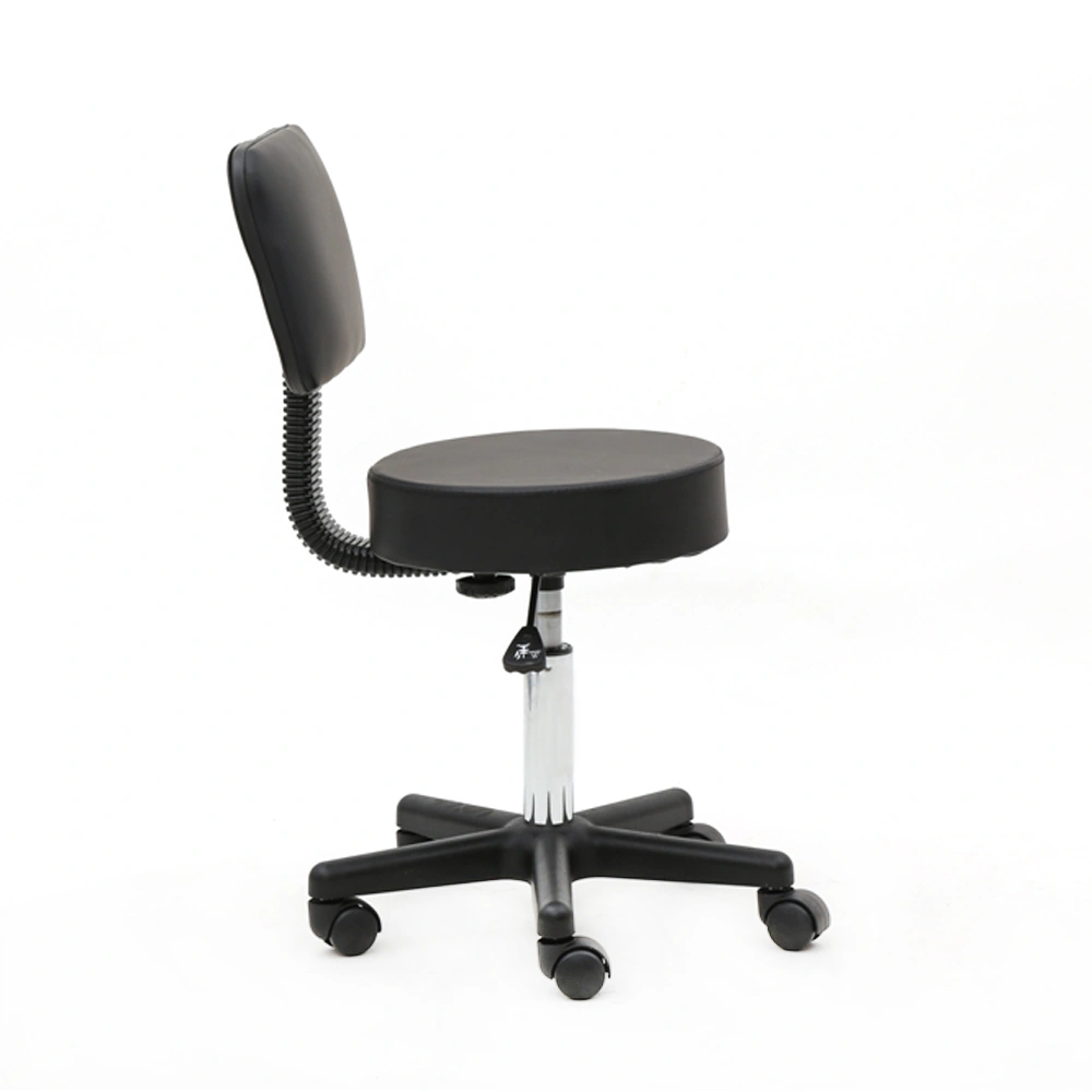 Round Shape Plastic Adjustable Salon Stool with Back Black view 14
