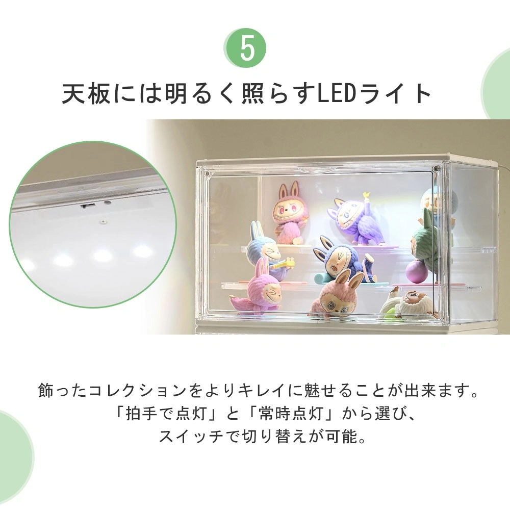コレクションケース L view 4