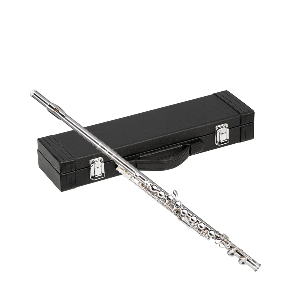 16 Keys C Flute, Cupronickel Silver Plated, Closed Hole, Offset E Key, Student Beginner Instrument view 2