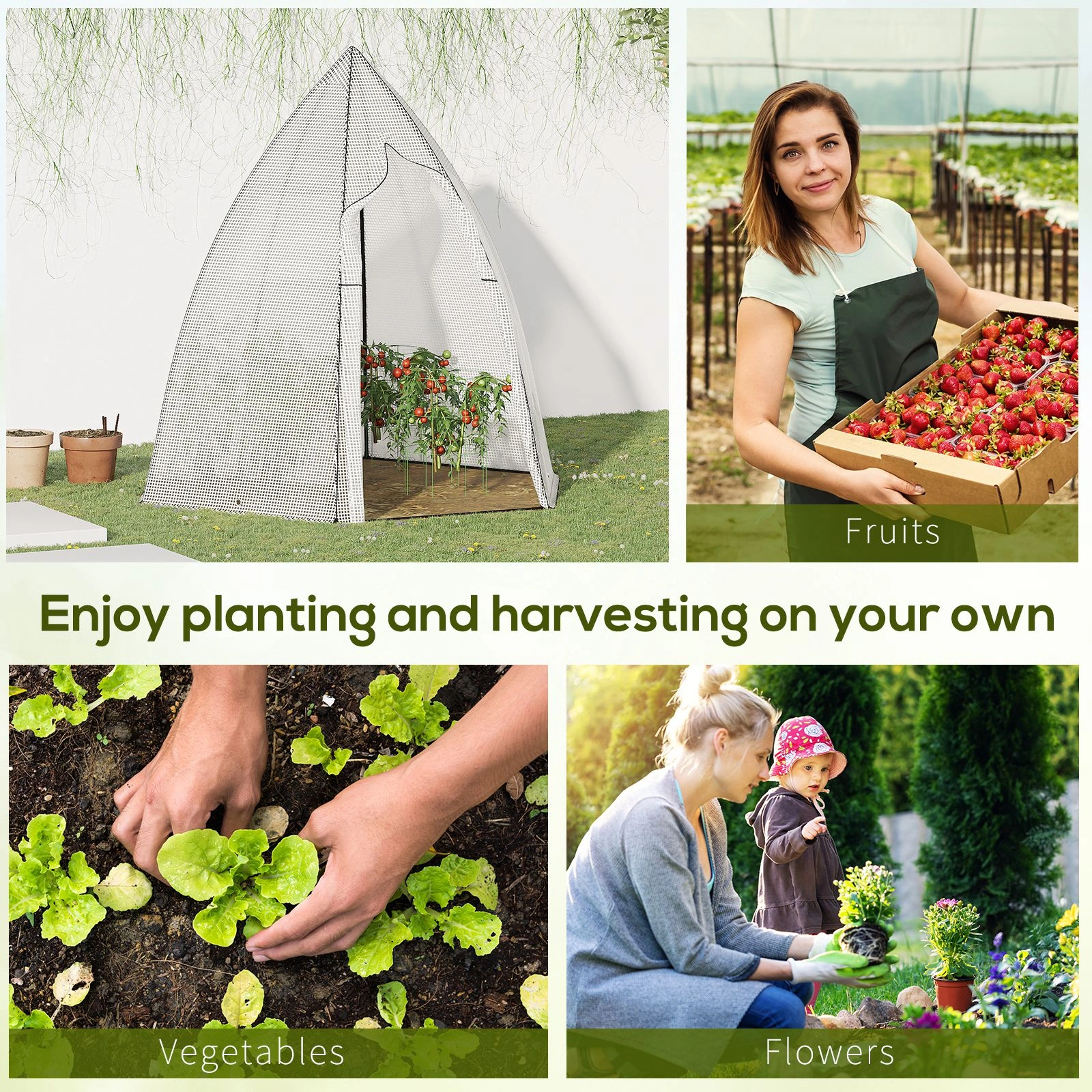 Mini Greenhouse - Portable Seed Starter with Dome Cover for Indoor Outdoor Plants view 2