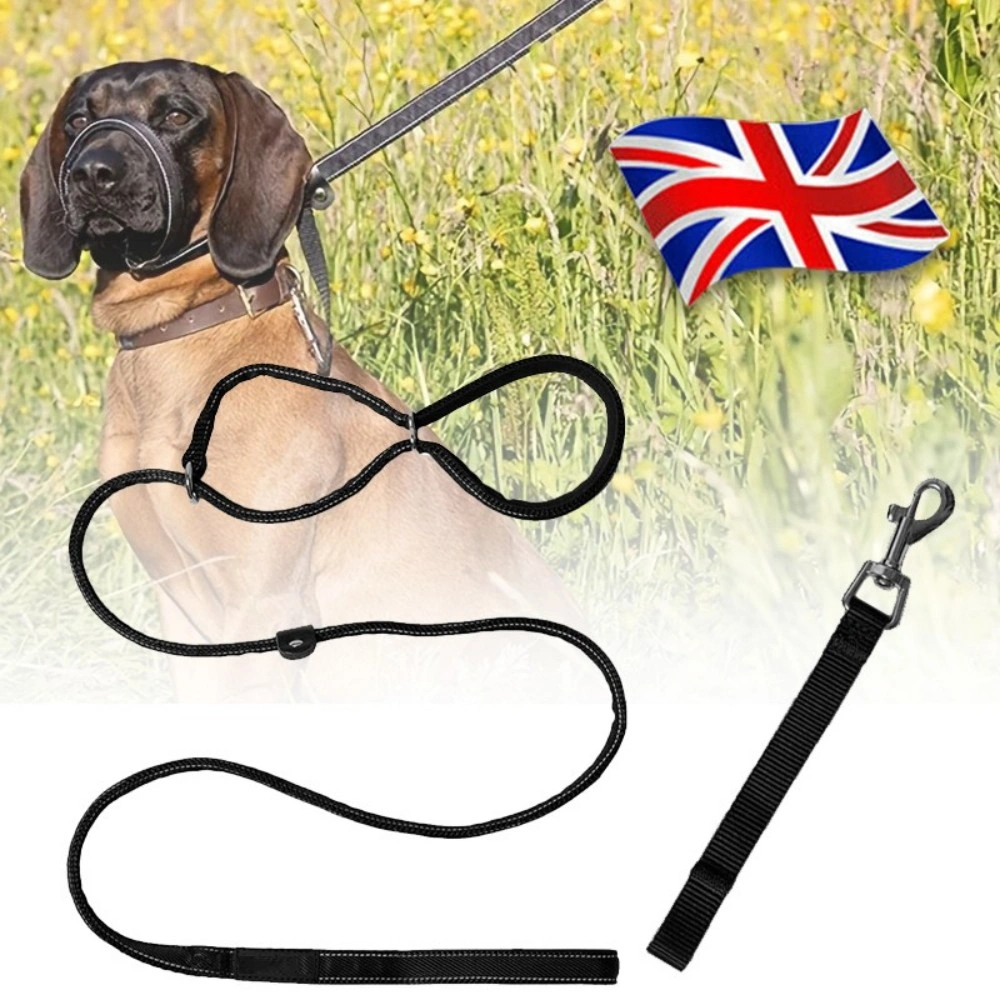 Figure 8 Dog Lead Strap with Padded Loop Handle Nose Grip Soft Comfortable Nylon Puppy Leash