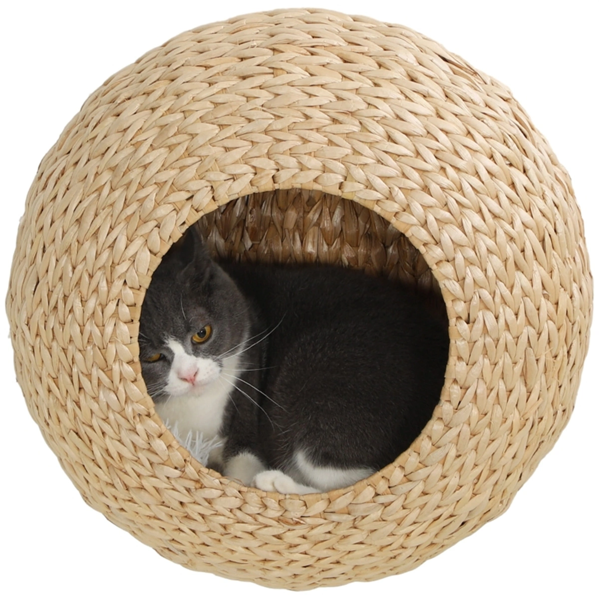 Cat Shelf Condo /Cat Bed view 6