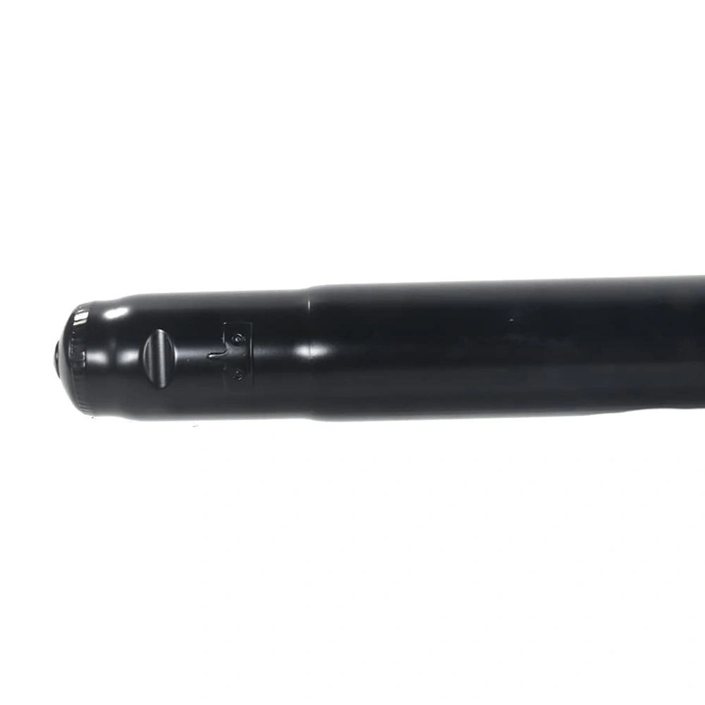 Pair Front Complete Strut Shock Absorber Assembly 172596 fit for 2006 2007 2008 2009 2010 2011 2012 Fusion