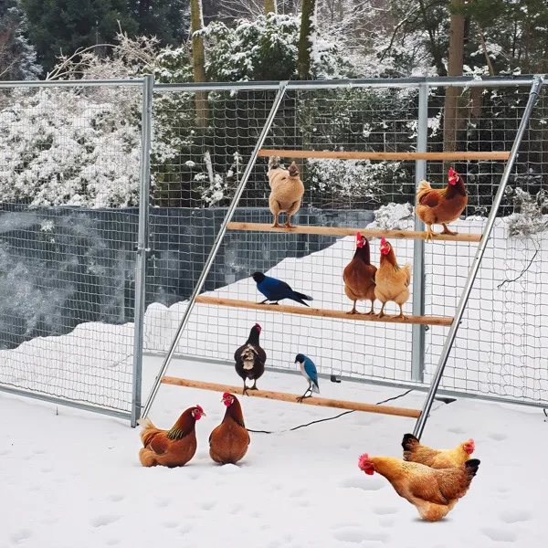 104*143cm Outdoor chicken perch view 2