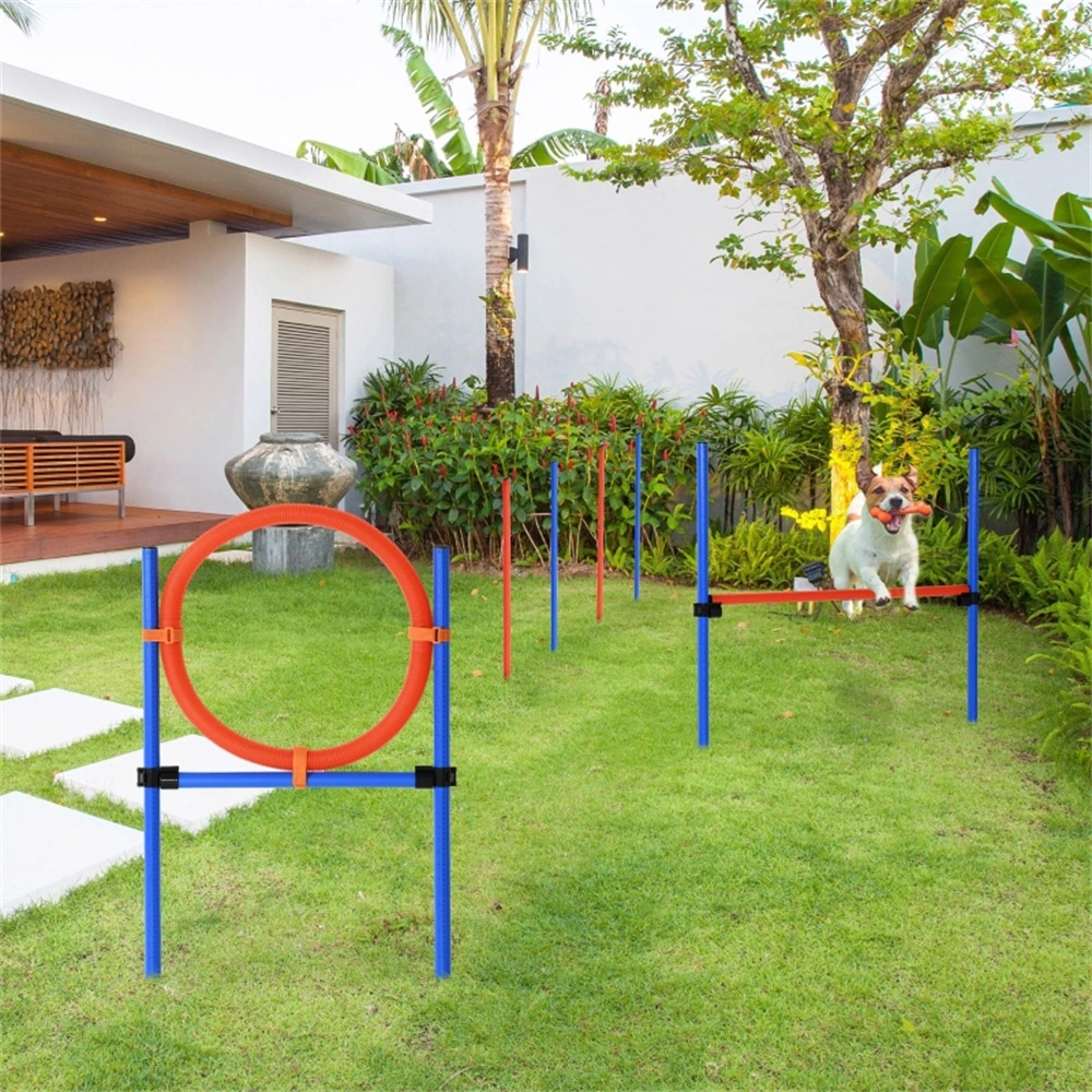 Professional Dog Agility Training Equipment Set - Obstacles, Jumps & Tunnels for K9 Fitness & Competition view 3