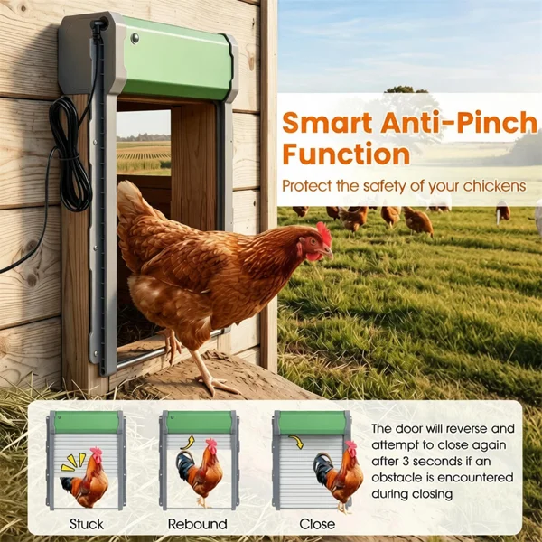 Solar Powered Automatic Chicken Coop Door with 4 Modes Light Sensor Timer Remote Control, Anti-Pinch Weatherproof Aluminum Opener for Chickens Ducks Rabbits Poultry view 4