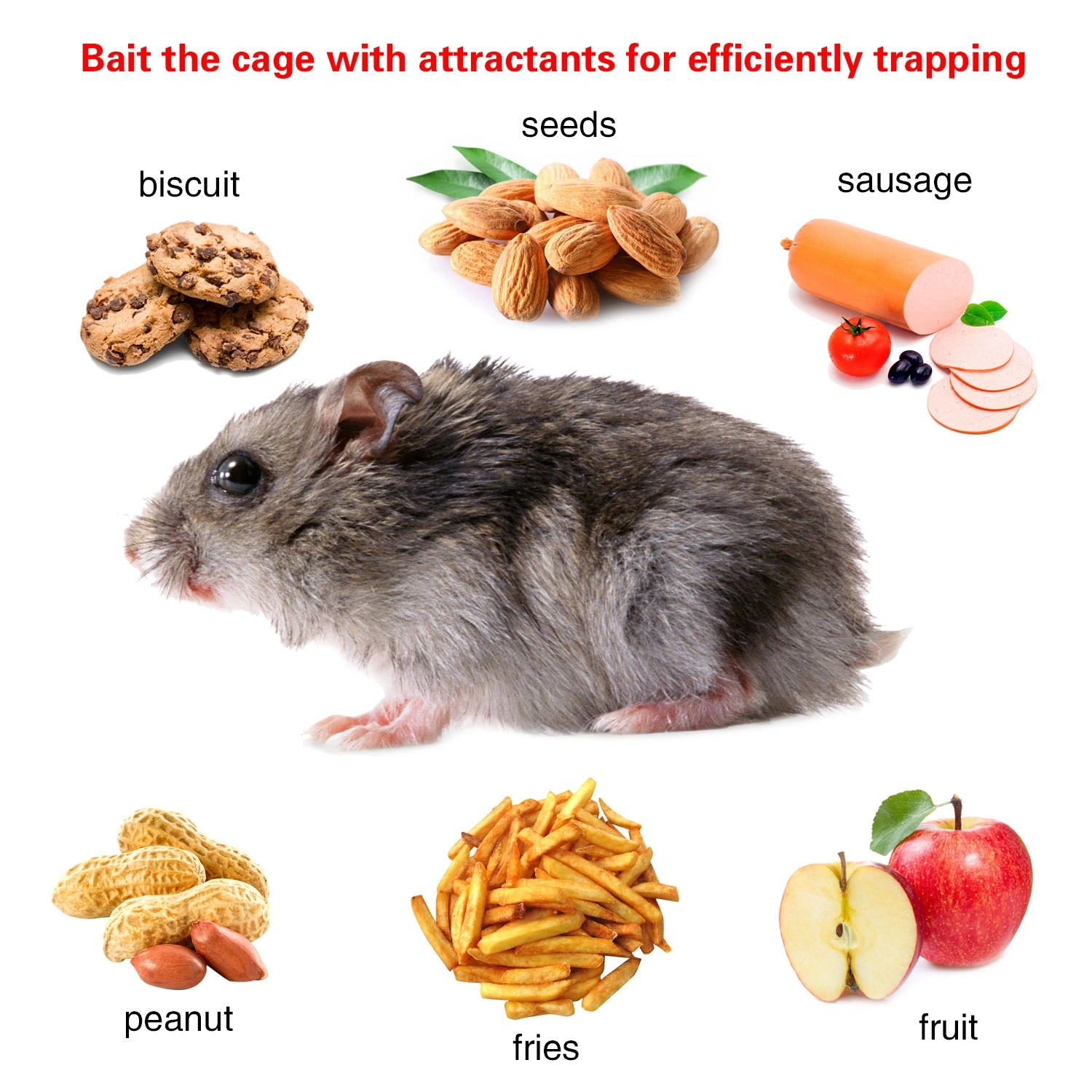 2 pcs Humane Mouse Trap, High Sensitivity Gravity Pedal Auto-Lock Rodent Trap - Sturdy Galvanized Steel, Escape-Proof Small Mesh Design, Safe for Kids & Pets, Easy to Use Indoors/Outdoors for Mice view 4