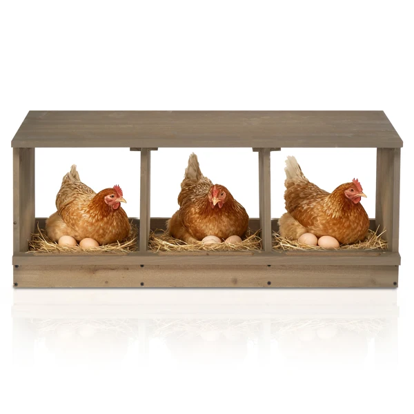 Nesting Boxes for Chickens, Wooden Chicken Nesting Box, Laying Eggs Nest Box for Chickens Hens Ducks, Gray, 3 Compartments view 4