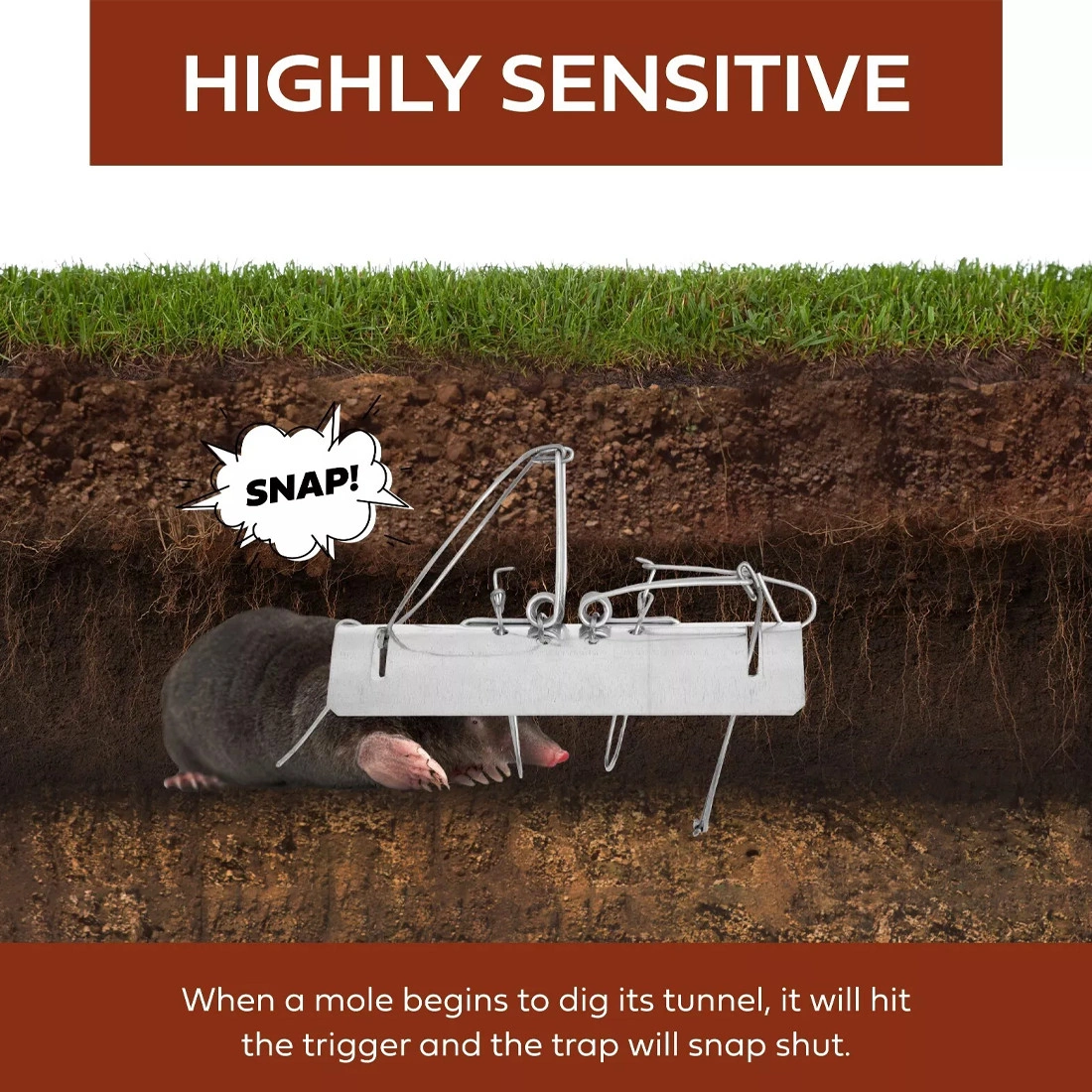 Pack of 5 Tunnel Mole Traps, Quick Kill Mole Repellent and Control, Heavy Duty Mole Traps for Garden Yard view 3